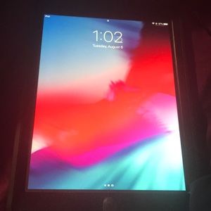 iPad Air, flawless with a complete otter box.